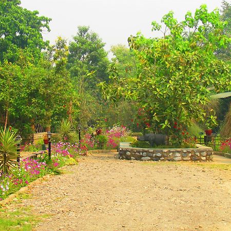 Chitwan Gaida Lodge Саураха Экстерьер фото