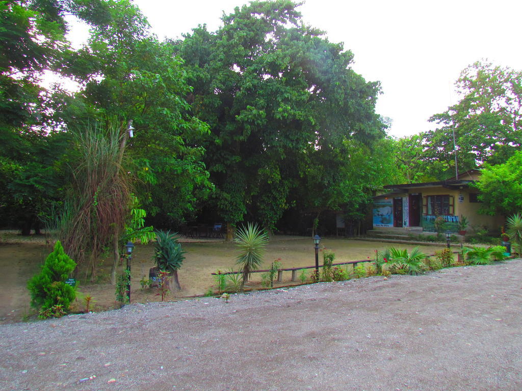 Chitwan Gaida Lodge Саураха Экстерьер фото