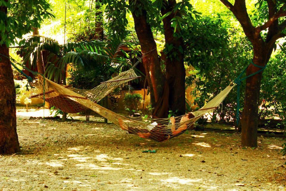 Chitwan Gaida Lodge Саураха Экстерьер фото